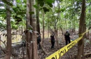 PF investiga 5 pessoas envolvidas na morte de Dom e Bruno no Amazonas