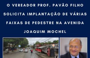 VEREADOR PROF. PAVÃO FILHO SOLICITA IMPLANTAÇÃO DE VÁRIAS FAIXAS DE PEDESTRE NA AVENIDA JOAQUIM MOCHEL