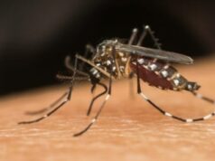 Dengue: 2025 começa com mortes e 2º maior recorde de casos da história