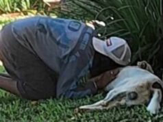 Foto de homem em situação de rua chorando após morte de cão comove web