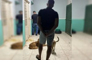 Clínica do terror: falso veterinário matou cães e gatos após cirurgias