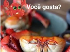 Defeso do Caranguejo-Uçá 2026: Maranhão Inicia Primeira Fase de Proteção da Espécie