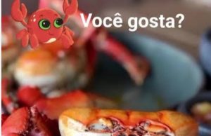 Defeso do Caranguejo-Uçá 2026: Maranhão Inicia Primeira Fase de Proteção da Espécie